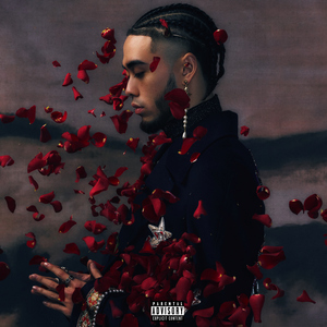 胖女人日逼AV片
