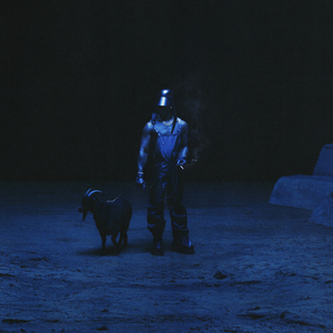 胖女人日逼AV片
